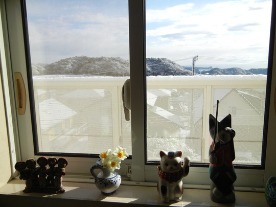 1月24日(火)勝浦にも雪が降ったよ~!_f0060461_10245175.jpg