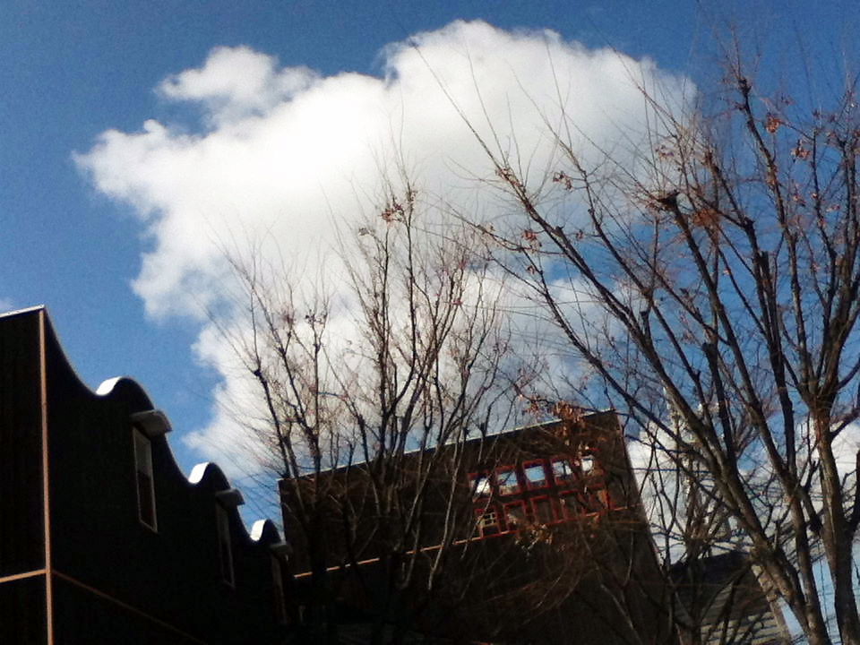a0240662_1038434.jpg