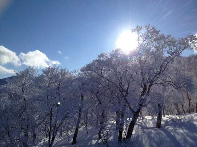 今日の苗場☆_c0151965_20451916.jpg