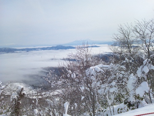 e0157165_1473072.jpg