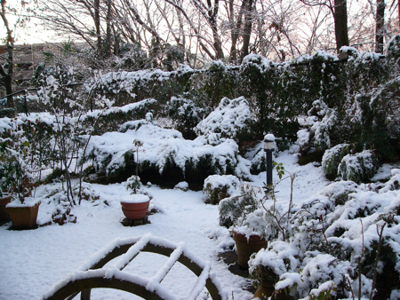 c0040472_2143328.jpg