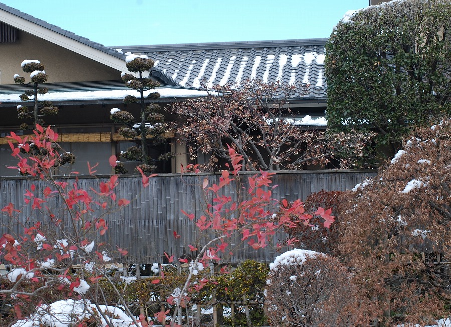 c0187781_14115763.jpg