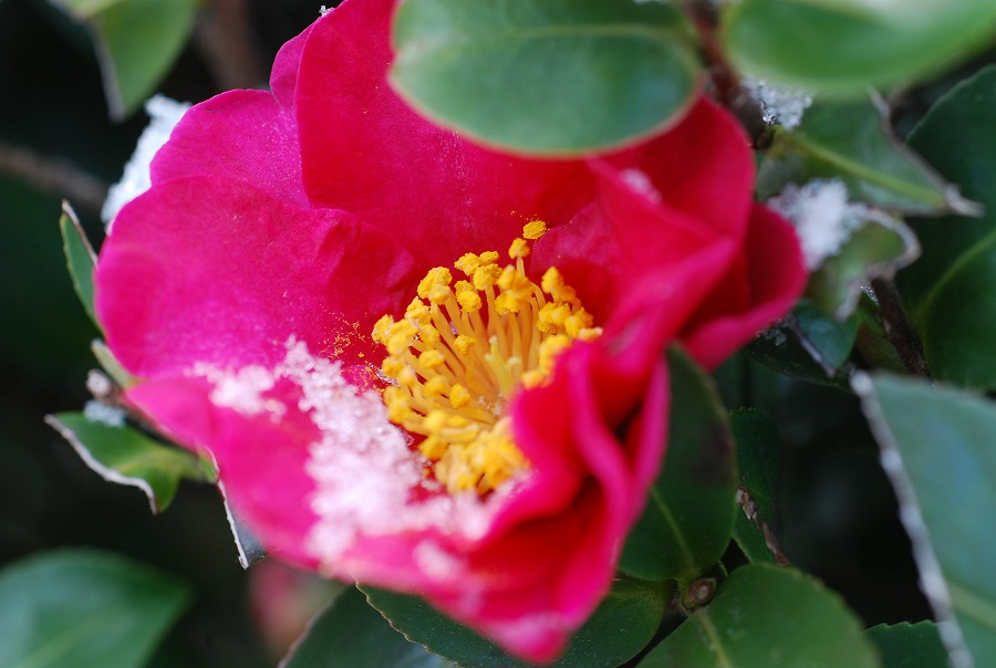 c0187781_14144917.jpg