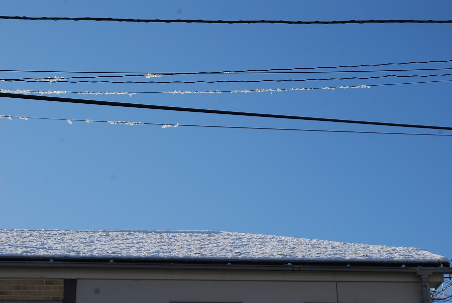 c0187781_1482652.jpg