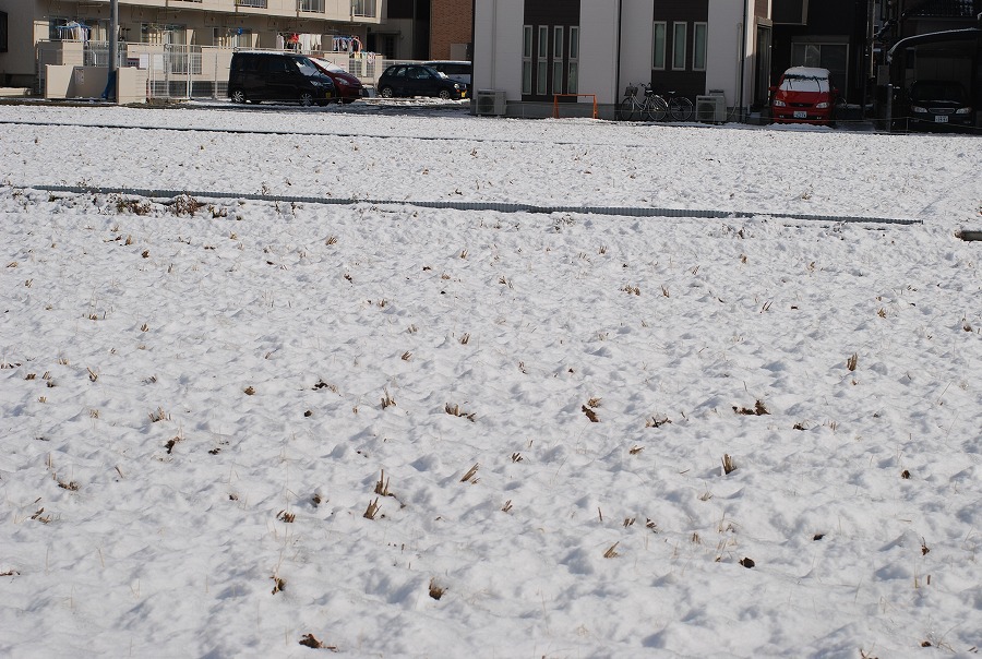 c0187781_148950.jpg