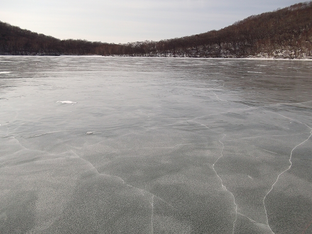 c0212083_21162364.jpg
