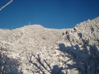 除雪。_e0096485_11425625.jpg