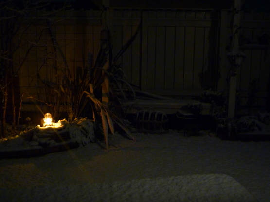 雪。。part2_a0225587_11421653.jpg