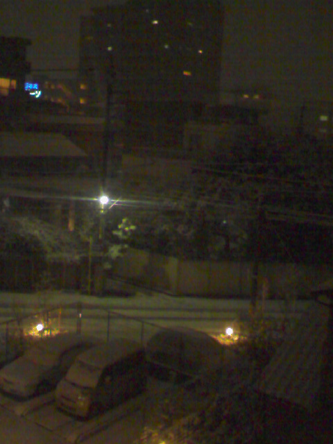 雪ですね。。_b0210688_1453634.jpg