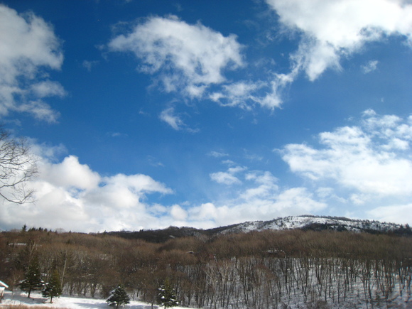 d0224990_21173726.jpg