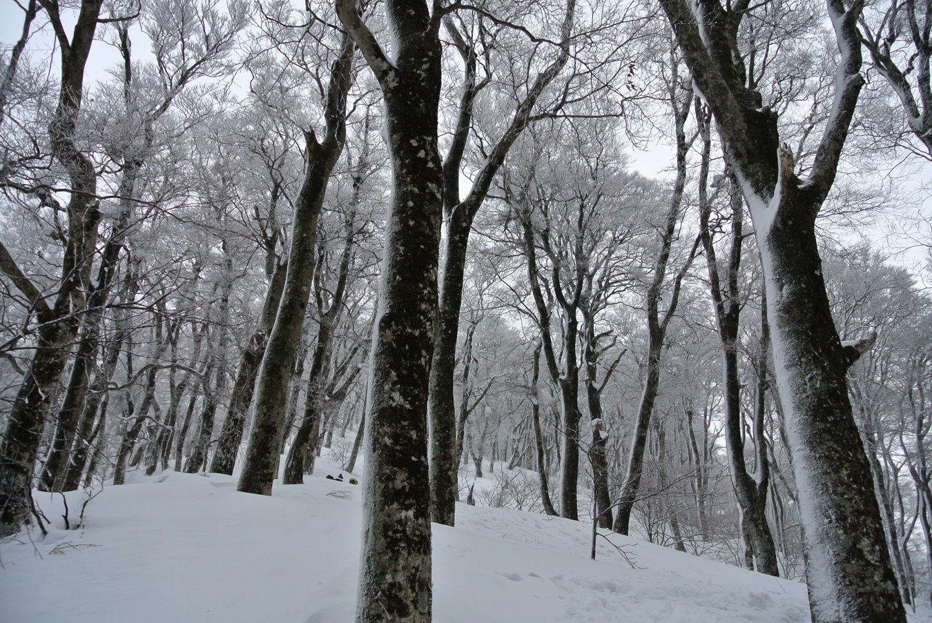 大山(弥山1709m)冬山3回目②_c0138991_151799.jpg