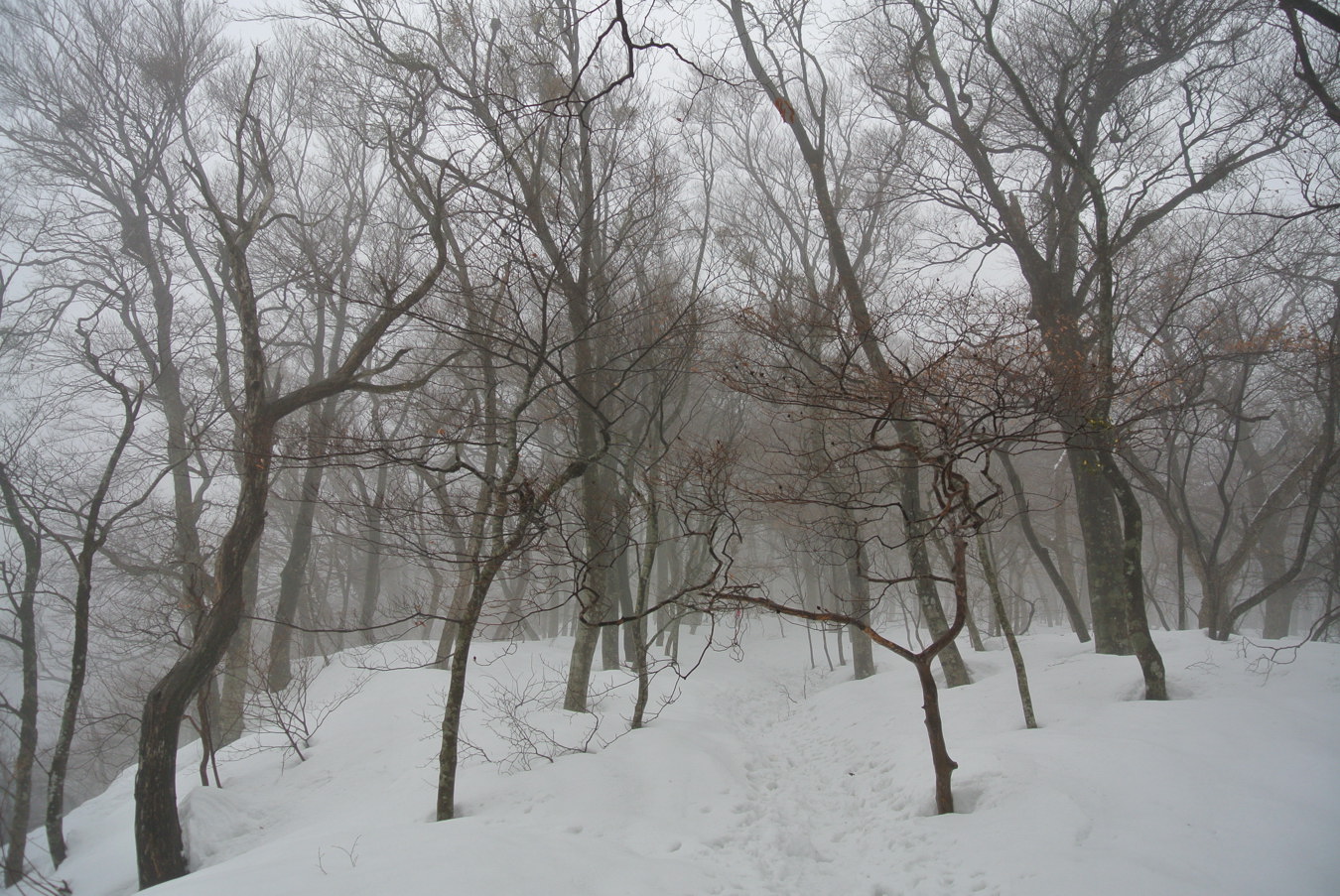 c0138991_15442.jpg