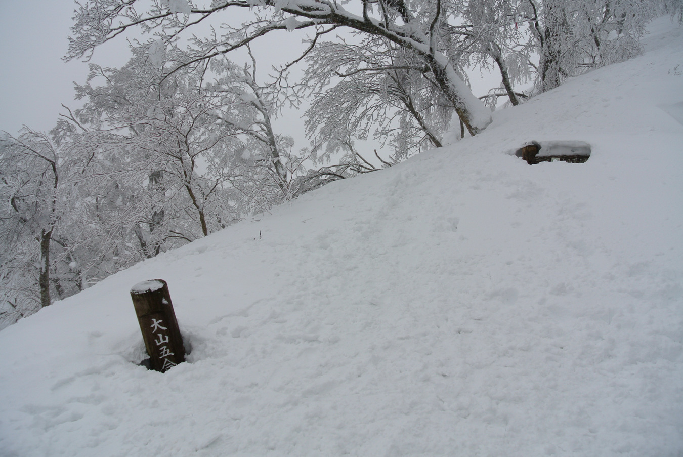 大山(弥山1709m)冬山3回目②_c0138991_2195392.jpg