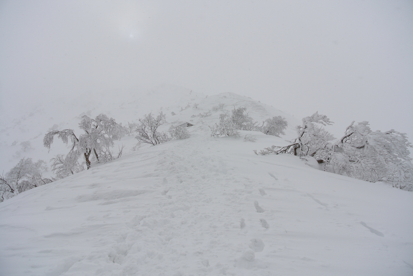 大山(弥山1709m)冬山3回目②_c0138991_2423028.jpg