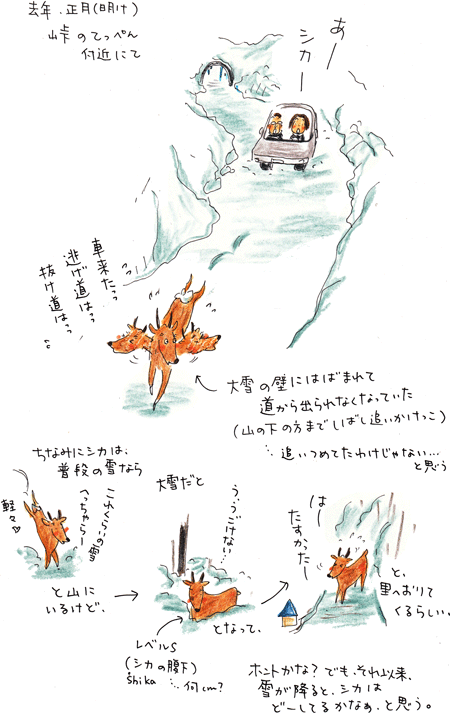 f0236291_1573165.gif