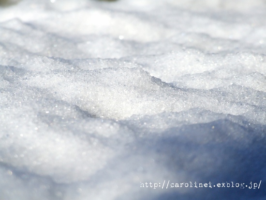雪の朝_d0025294_14444177.jpg