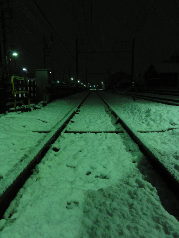 a0201496_9551027.jpg