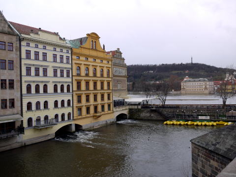 c0090198_31343.jpg