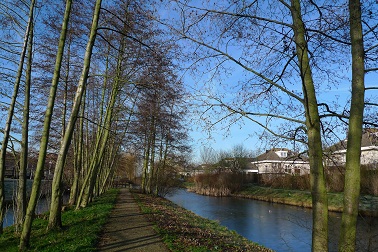a0187808_801657.jpg