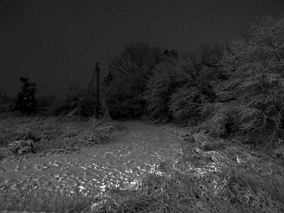 c0156908_23171415.jpg
