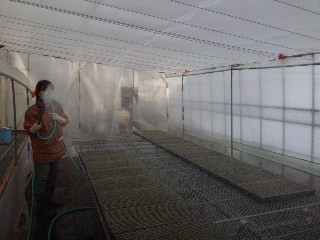 ほらねっ_d0099708_16205747.jpg