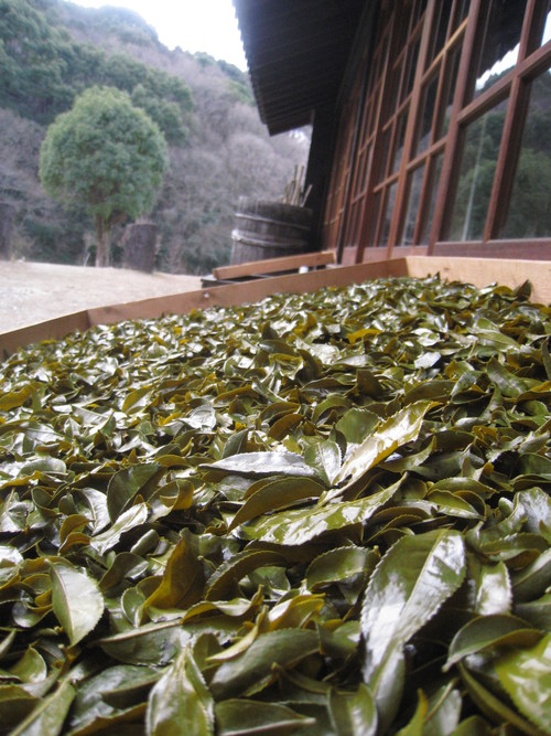 またまた寒茶_b0220318_22441137.jpg