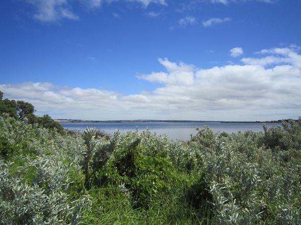 d0154118_8244094.jpg