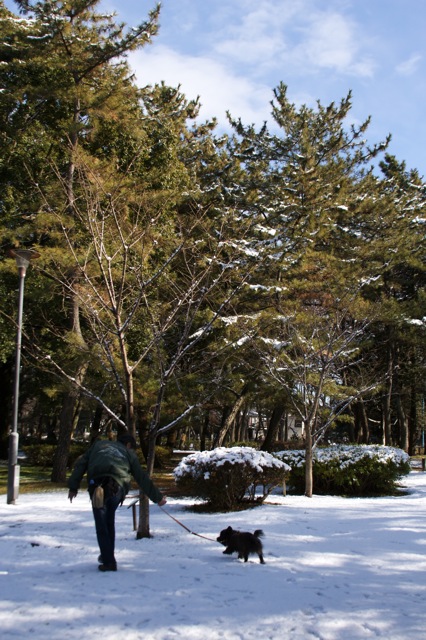 雪、積もりました♪---2012年バージョン_e0021328_2375328.jpg