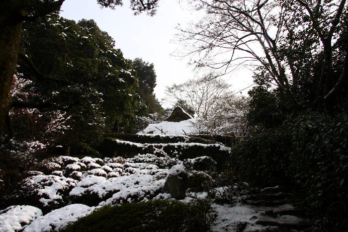 雪の一乗寺のお寺巡り －圓光寺～金福寺－_b0169330_033111.jpg