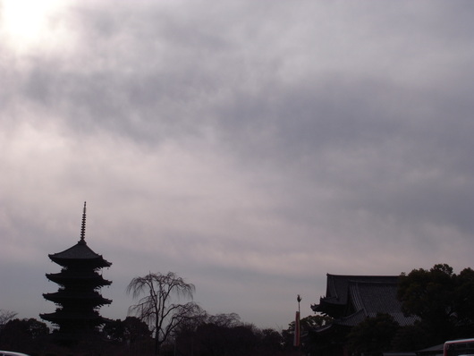 d0178432_12444455.jpg