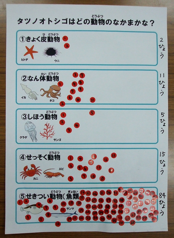 タツノオトシゴはどの動物のなかま メンデル工房 サイエンス教室 吉祥寺校 タツノオトシゴはどの動物のなかま メンデル工房 サイエンス教室 吉祥寺校