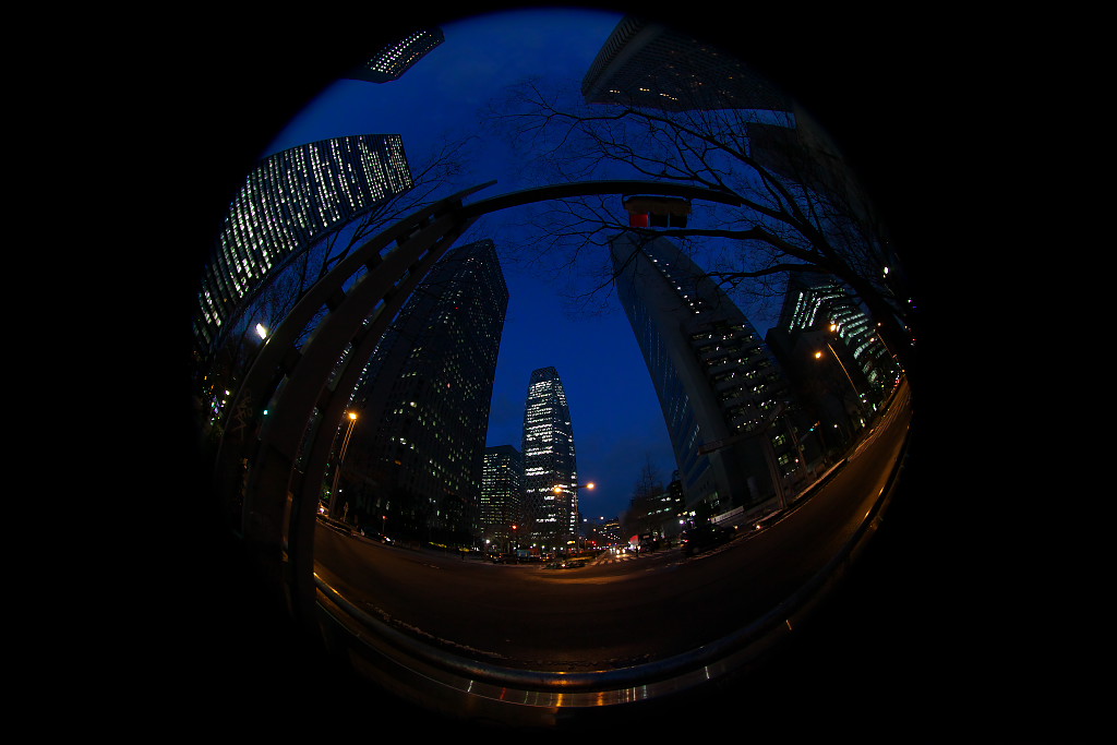 a0219140_21302663.jpg
