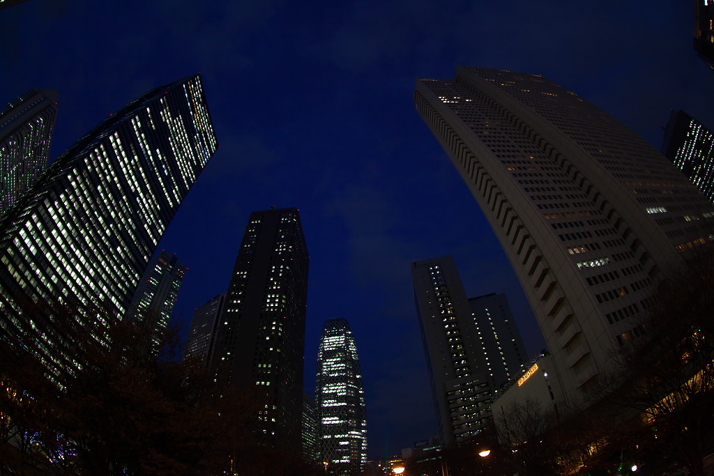a0219140_21304266.jpg