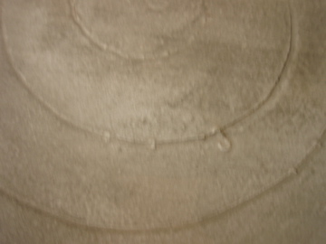b0132442_1748844.jpg