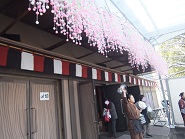 d0249444_17152273.jpg