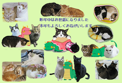 b0024945_1523327.png