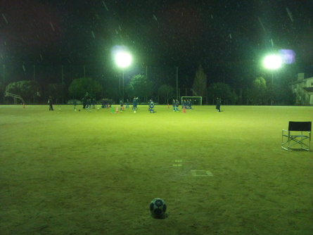 d0180153_12181999.jpg