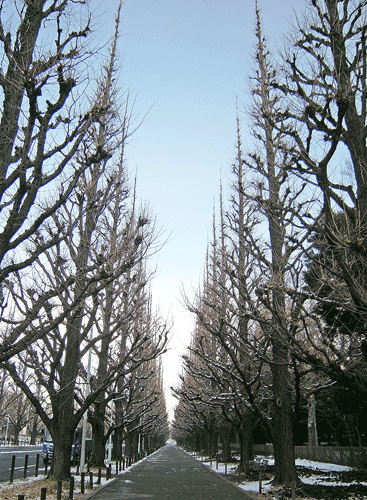 a0001354_23194850.gif