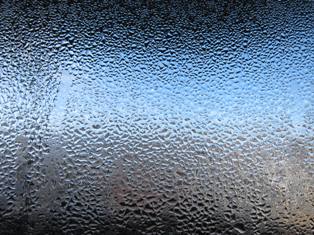 a0208560_10271672.jpg