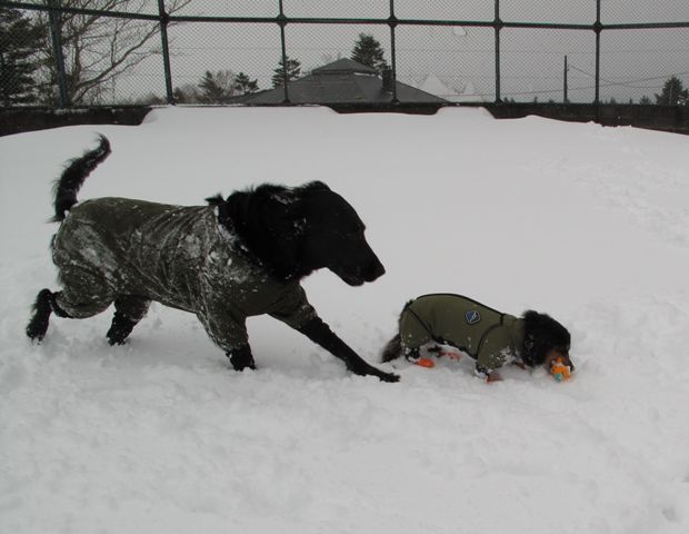 2012　富士の麓で雪遊び♪_c0134862_18123631.jpg