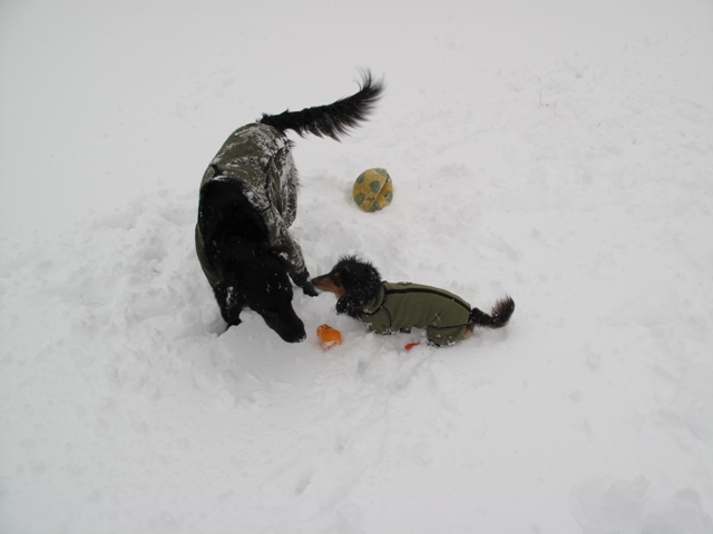 2012　富士の麓で雪遊び♪_c0134862_1892188.jpg