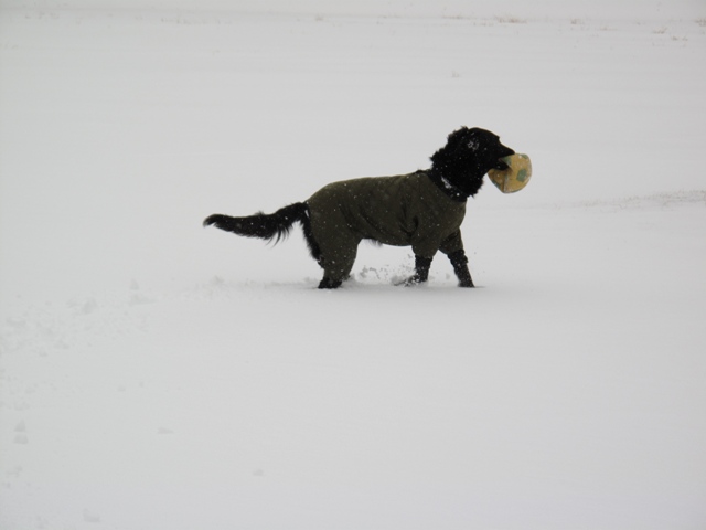 2012　富士の麓で雪遊び♪_c0134862_189639.jpg