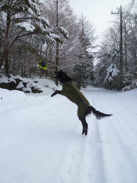 2012　雪の朝散歩　ジャスミンとふたり_c0134862_19262565.jpg