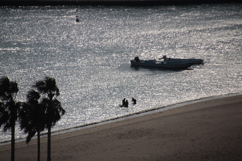 e0024081_146377.jpg