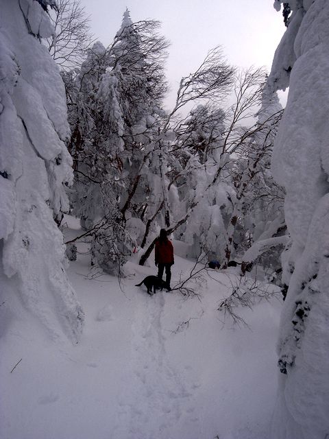 a0093592_23195655.jpg