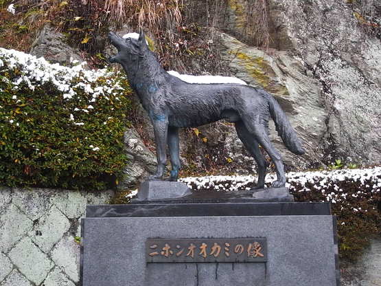 遊びまくって・・・・_e0111396_193721.jpg