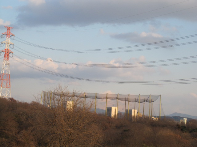 a0145798_19504645.jpg