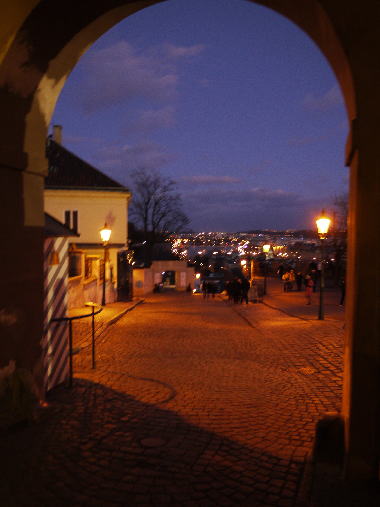 c0090198_3575399.jpg