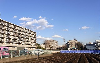 2012年1月25日（水） ； 晴れ_d0051601_17321.jpg