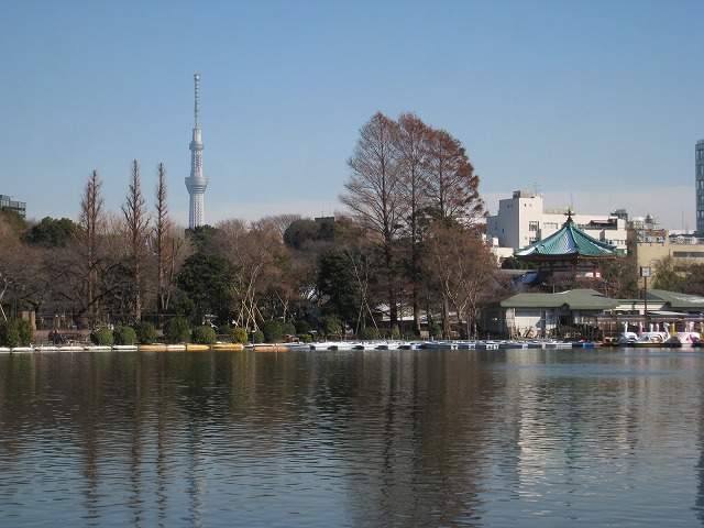 b0190603_16253491.jpg